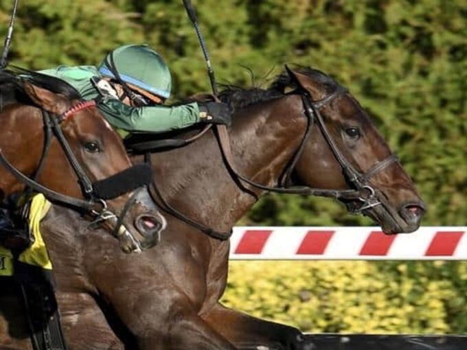Bottas stretches for the wire in the 2025 Pilgrim S. (G2) at Aqueduct - NYRA
