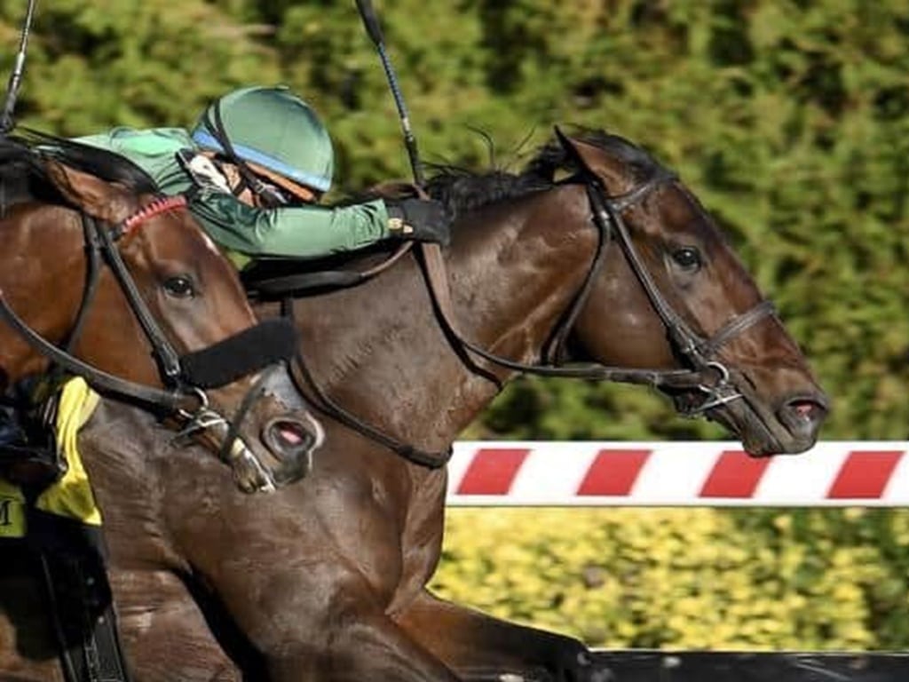 Bottas stretches for the wire in the 2025 Pilgrim S. (G2) at Aqueduct - NYRA