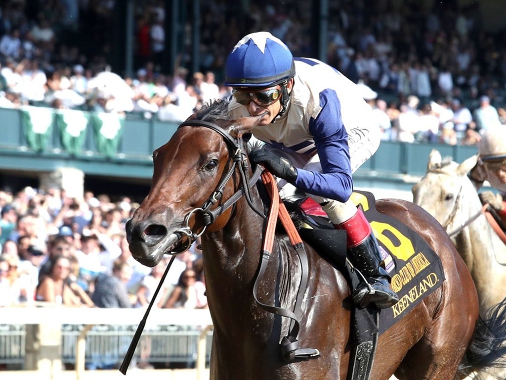 Praying stamps her Breeders' Cup ticket with a win in the TCA (G2) Oct. 4, 2025 at Keeneland - Coady Media