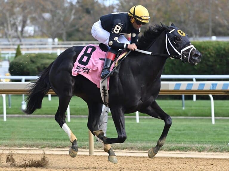 2yo filly Letmecounttheways stays unbeaten with a 6-length win in the 2025 Maid of Mist S. at Aqueduct | NYRA photo