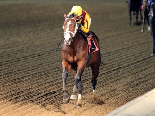 Cannoneer, Into Mischief's newest TDN Rising Star, dazzles in victory on Nov. 29, 2025 at Churchill Downs - Coady Media