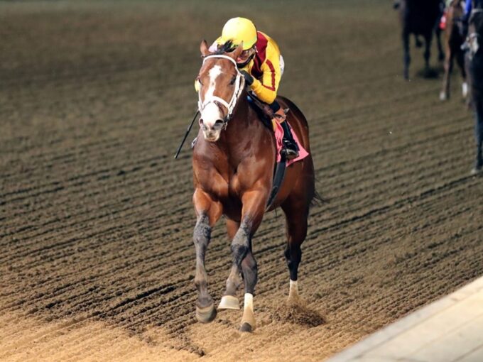 Cannoneer, Into Mischief's newest TDN Rising Star, dazzles in victory on Nov. 29, 2025 at Churchill Downs - Coady Media