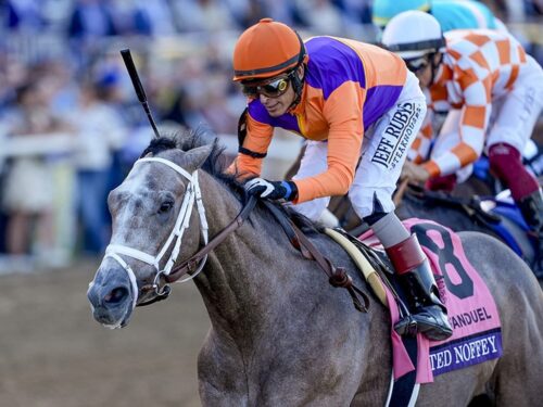 Ted Noffey wins the Breeders' Cup Juvenile (G1) for Into Mischief and Spendthrift Farm -Breeders' Cup photo