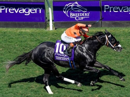 Irad Ortiz, Jr. celebrates Shisospicy's win in the Breeders' Cup Turf Sprint (G1) - Breeders' Cup photo