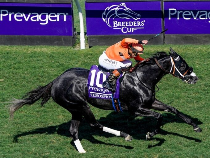 Irad Ortiz, Jr. celebrates Shisospicy's win in the Breeders' Cup Turf Sprint (G1) - Breeders' Cup photo
