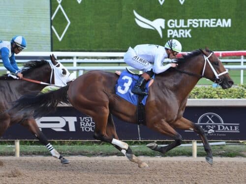 Tappan Street forges to victory in his Dec. 19 return at Gulfstream Park - Coglianese photo