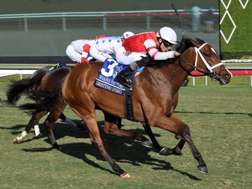 Destino d'Oro flies to victory in the Pegasus World Cup F&M Inv. ( G2) - Lauren King