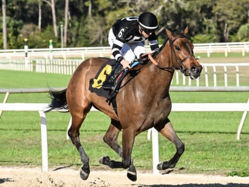 Drexel Hill bounds to victory in the 2026 Wayward Lass S. at Tampa Bay Downs - SV photography