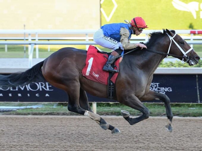 Commandment takes the Mucho Macho Man S. Jan. 3 at Gulfstream Park to give Into Mischief his first stakes winner of 2026 - Lauren King