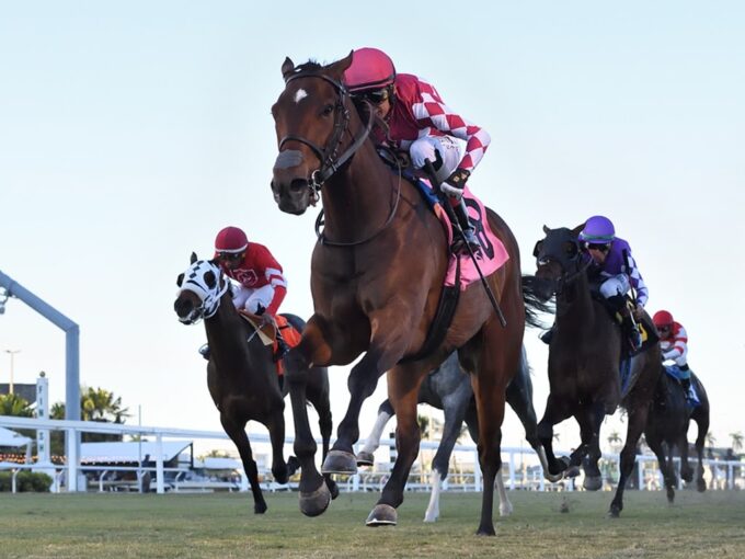 Alpyland becomes Vekoma's first stakes winner of 2026 in the Dania Beach S. at Gulfstream Park - Ryan Thompson