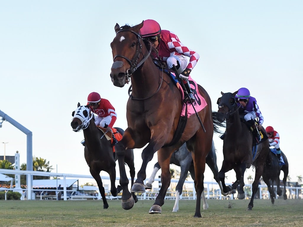 Alpyland becomes Vekoma's first stakes winner of 2026 in the Dania Beach S. at Gulfstream Park - Ryan Thompson