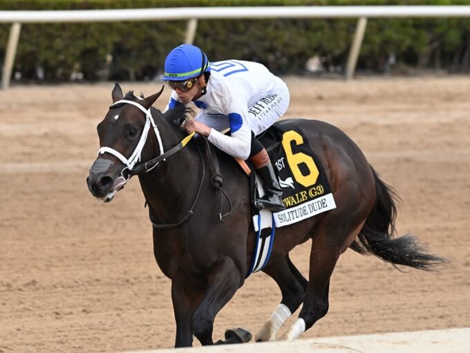 Solitude Dude remains undefeated after dominating the Swale S. - Angelo Lieto