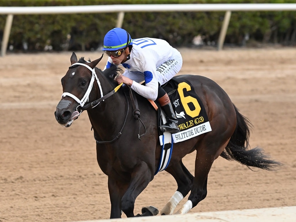 Solitude Dude remains undefeated after dominating the Swale S. - Angelo Lieto