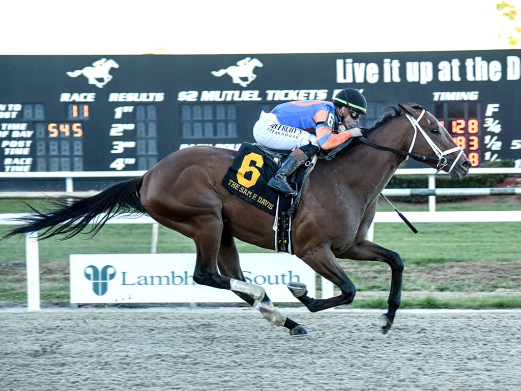 Into Mischief's Renegade clears off late to win the Sam F. Davis S. - SV photography
