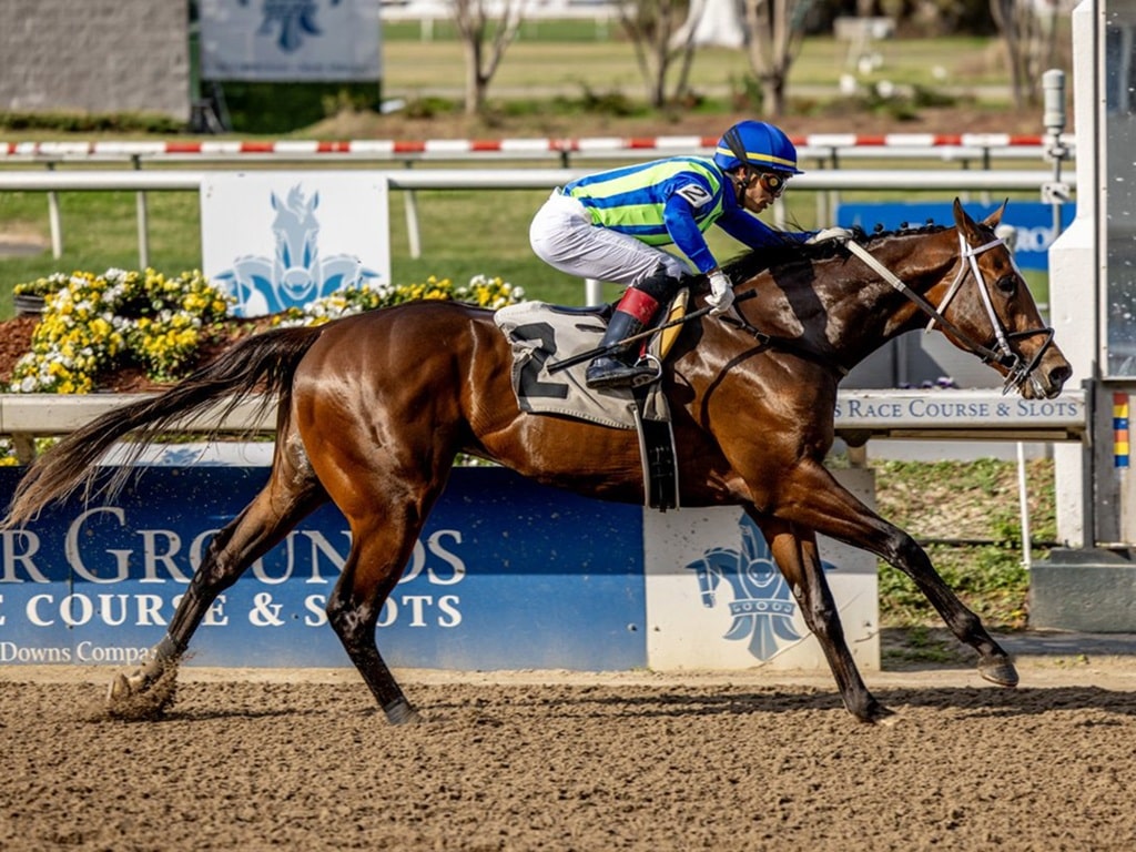 Knock It Off, Vekoma's seventh TDN Rising Star - Hodges photography