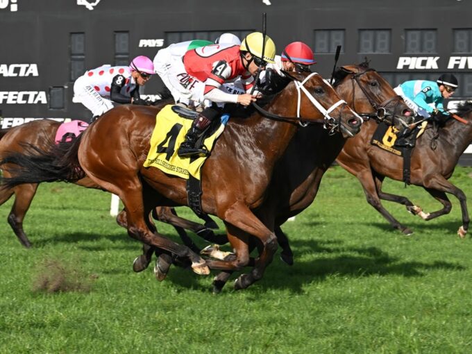 Destino d'Oro (#4) takes the Hillsborough for her third consecutive stakes win - SV photography