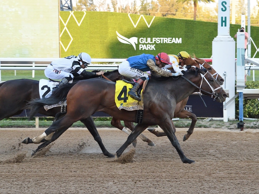 Commandment wins a thriller over The Puma in the 2026 Florida Derby (G1) - Susie Raisher