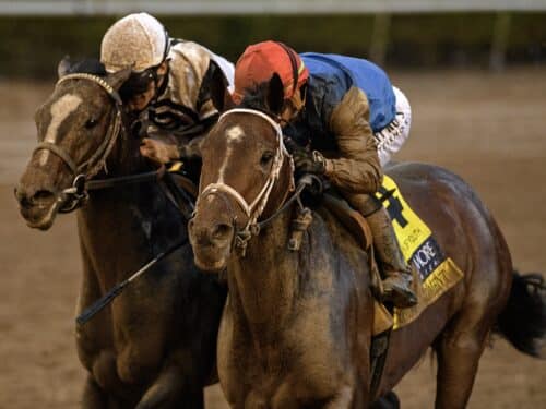 Commandment (red cap) outduels Chief Wallabee to win the Fountain of Youth S. - Ryan Thompson