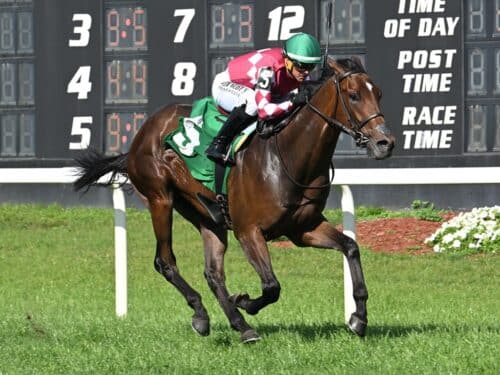 Alpyland cruises to victory in the 2026 Columbia S. at Tampa Bay Downs - SV photography