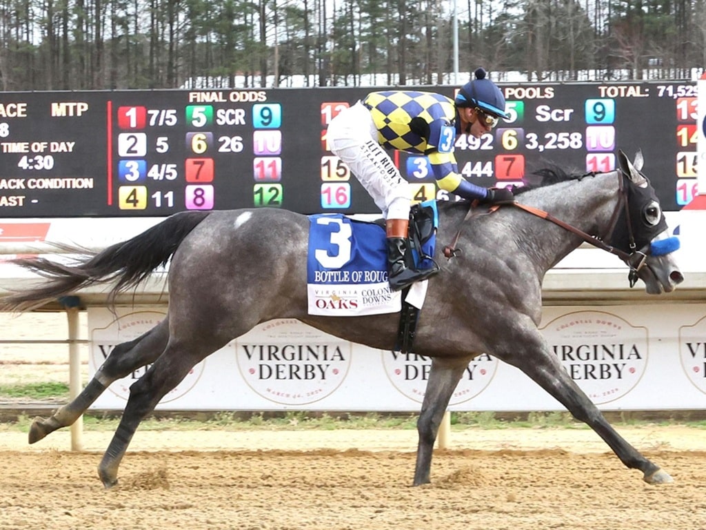 Bottle of Rouge strides to victory in the $250,000 Virginia Oaks - Coady Media