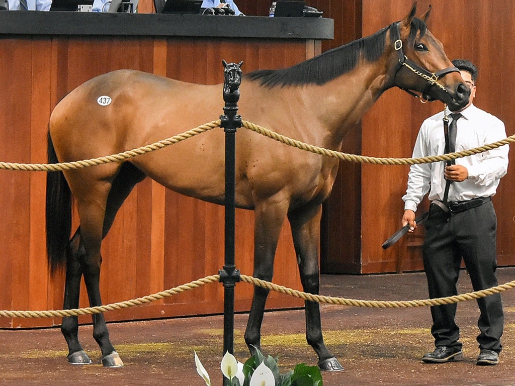Yaupon's $700,000 filly at the 2026 OBS March Sale - Judit Seipert