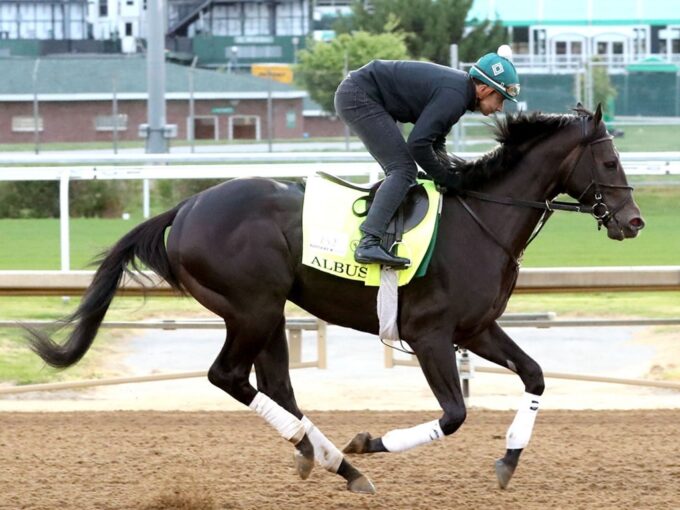 Albus galloping on April 26 at Churchill Downs -Renee Torbit
