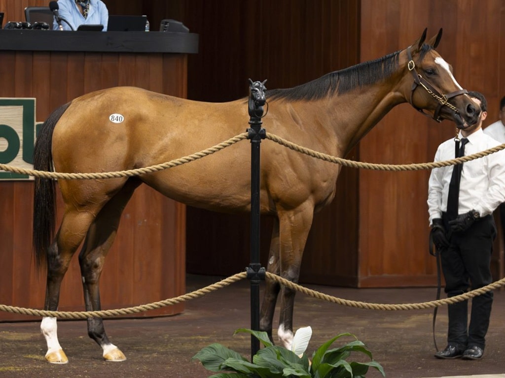 Bolt d'Oro's $1.3 million session-topping filly in the ring on Apr. 16 at the OBS Spring sale - OBS photo