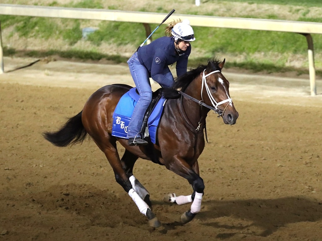 Commandment gallops at Churchill Downs on April 28 - Renee Torbit