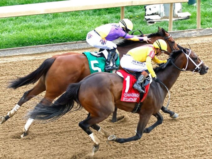 Eclatant noses out Grand Job in the Grade 1 Madison S. at Keeneland - Coady Media