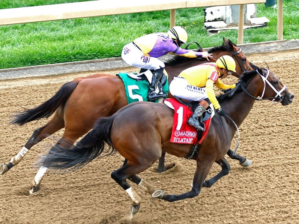 Eclatant noses out Grand Job in the Grade 1 Madison S. at Keeneland - Coady Media