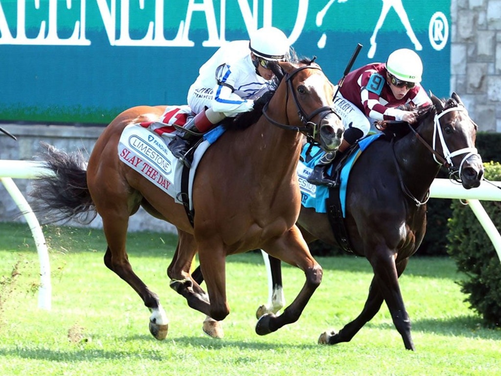Slay the Day (at left) and Cy Fair near the finish line in the Limestone S. (G3) at Keeneland - Coady Media photo