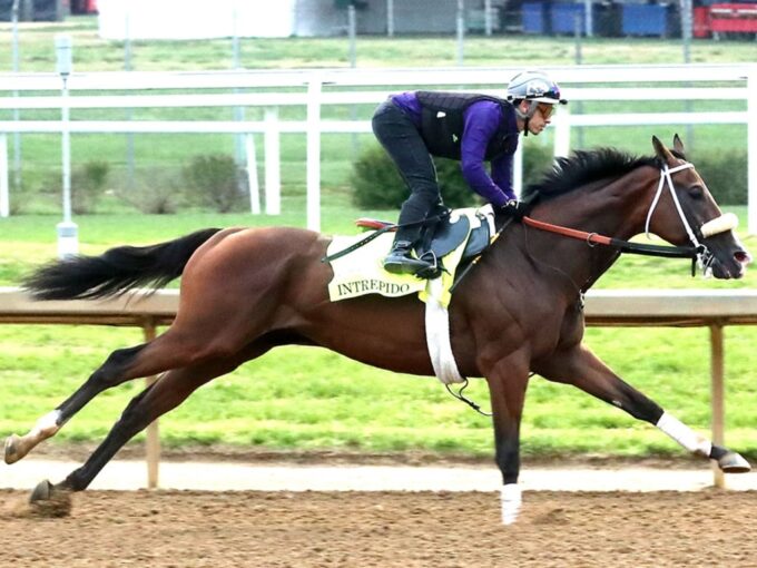 Intrepido strides out in his April 26 work at Churchill Downs - Renee Torbit