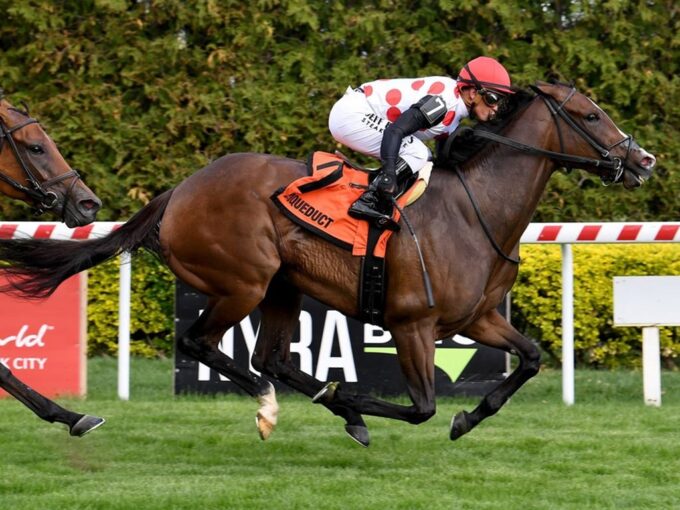 And One More Time gets careers stakes win #2 on April 17, 2026 in the Plenty of Grace S. - NYRA photo