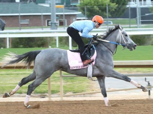 Vekoma's Lovely Grey trains at Churchill Downs on April 22, 2026 - Coady Media