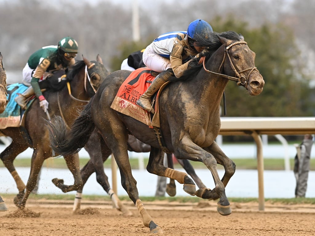 Albus earns his first graded stakes win in the $750,000 Wood Memorial S. (G2) - NYRA photo
