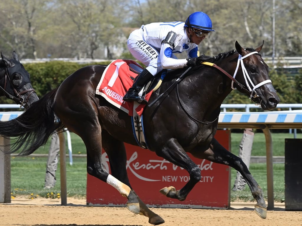 Solitude Dude gets his third stakes win in five starts in the Bay Shore S. at Aqueduct - NYRA photo