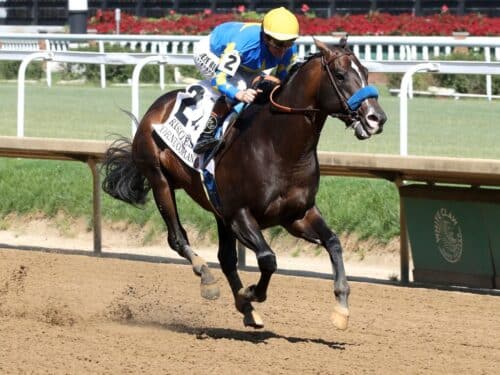 Cornucopian rolls to victory in the 2026 Aristides S. (G3) at Churchill Downs - Renee Torbit/Coady Media