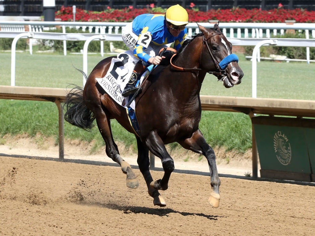 Cornucopian rolls to victory in the 2026 Aristides S. (G3) at Churchill Downs - Renee Torbit/Coady Media