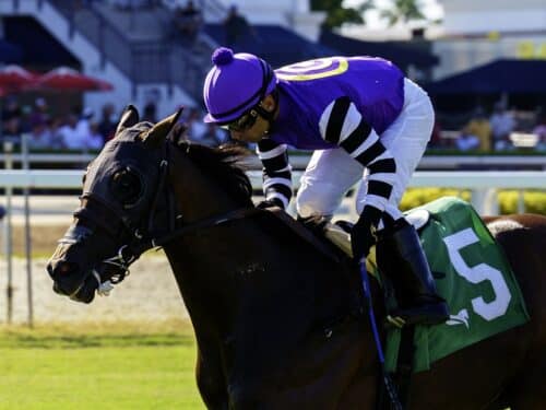 Bolero Bay wins the 2026 English Channel S. on the turf at Gulfstream Park - Coglianese photo
