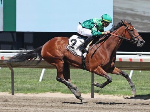 #2 Lost Horizon ridden by Jockey Luis R. Rivera, Jr. won the $100,000 Serena's Song Stakes at Monmouth Park Racetrack in Oceanport, NJ on Saturday May 16, 2026. Photo By Ryan Denver/EQUI-PHOTO