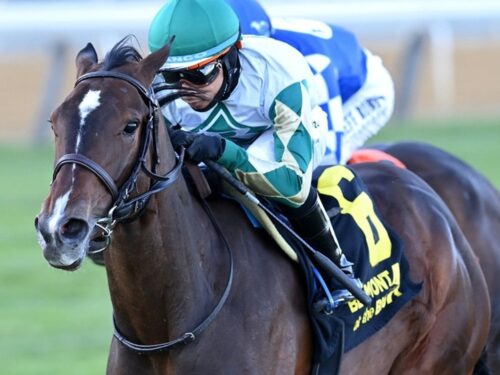 Love Cervere nears the finish line in the 2026 License Fee S. at Aqueduct - NYRA photo