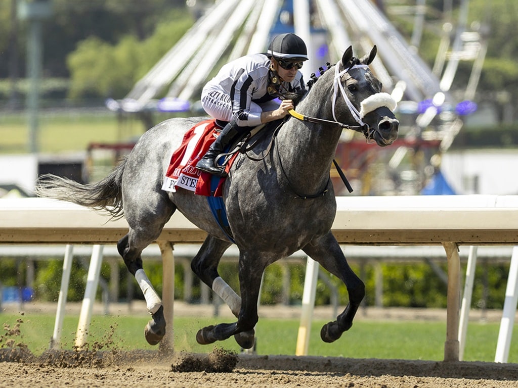 Forged Steel and jockey Flavien Prat win the Grade II $100,000 Hollywood Gold Cup Monday, May 25, 2025 at Santa Anita Park, Arcadia, CA. The Kentucky-bred colt is owned by C2 Racing Stable and Mathis Stables and trained by Saffie A. Joseph, Jr. Benoit Photo