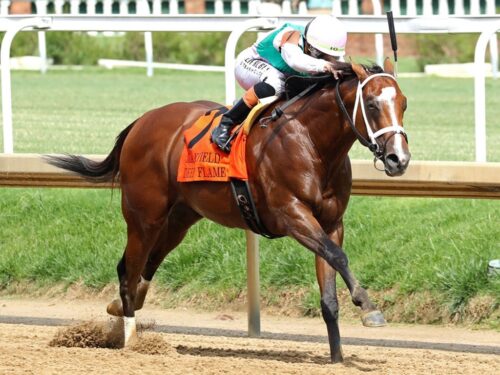 Deep Flame, Into Mischief's 100th Graded Stakes winner in the Maxfield S. (G3) at Churchill Downs - Coady Media