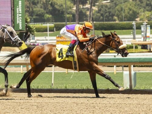 Magnificat outlegs Syntax to win the $100,000 Desert Stormer S. - BENOIT PHOTO