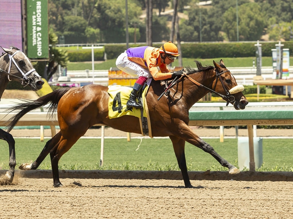 Magnificat outlegs Syntax to win the $100,000 Desert Stormer S. - BENOIT PHOTO