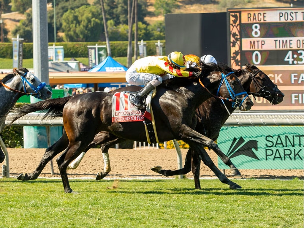 Freedom's Not Free (#11) edges out Sumter in the 2026 Daytona S. (G3) - Benoit photo