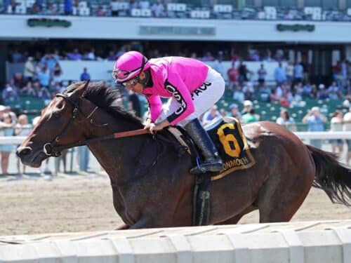 Baby Vino cruises to victory in the Pegasus S. in his black type debut - Equiphoto