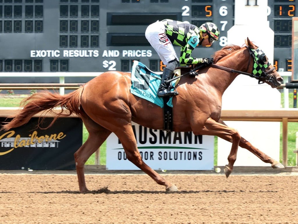 Cyberknife's first winner Velvet Beretta scores in her July 8 debut at Ellis Park - Coady Media