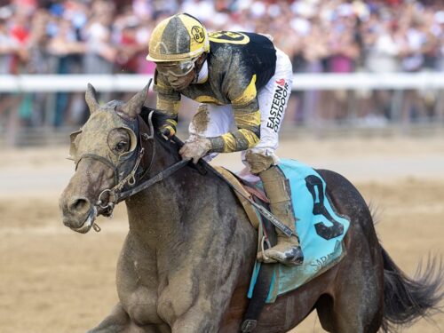 B Yutiful Carly is the second MSW winner of the week for freshman sire Greatest Honour - NYRA photo
