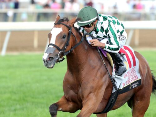 In the Stars, Into Mischief's 19th stakes winner of 2026 - Coady Media